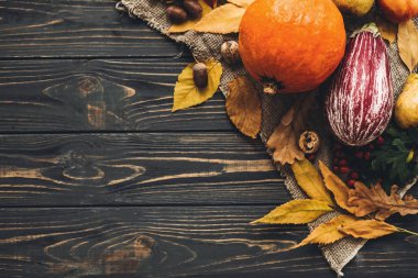Mutlu Şükran günü kavramı. Kabak, renkli yaprakları, meşe palamutları, fındık ile sonbahar sebze güzel bileşimi, çilek ahşap rustik masa, düz üzerinde yatıyordu. Metin için yer. Sonbahar sezon