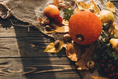 Güzel kabak, renkli yaprakları, meşe palamutları, fındık, sonbahar sebzeleri meyveleri ahşap rustik masa ışık üzerinde. Metin için yer. Sonbahar sezonu. Mutlu Şükran günleri. Atmosferik görüntü