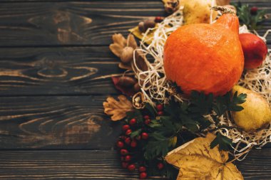 Mutlu Şükran günü kavramı. Güzel bileşimi kabak, renkli yaprakları, meşe palamutları, fındık, sonbahar sebzeleri meyveleri ahşap rustik masaya. Metin için yer. Rahat sonbahar sezon