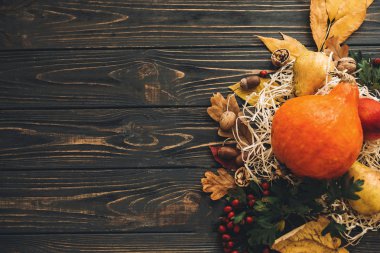 Mutlu Şükran günü kavramı. Kabak, renkli yaprakları, meşe palamutları, fındık ile sonbahar sebze güzel bileşimi, çilek ahşap rustik masa, düz üzerinde yatıyordu. Metin için yer. Sonbahar sezon