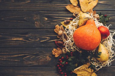 Kabak, sonbahar sebze renkli yaprakları, meşe palamutları, fındık, çilek ahşap rustik tablo, düz metin için yer yatırın. Sonbahar mevsim tebrik kartı. Mutlu Şükran günleri. Merhaba sonbahar