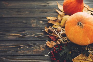 Güzel kabak ile parlak sonbahar yaprakları, meşe palamutları, fındık, çilek ahşap rustik masaya. Metin için yer. Rahat sonbahar sezonu. Mutlu Şükran günü kavramı. Atmosferik görüntü
