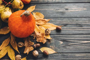 Mutlu Şükran günü kavramı. Güzel kabak ile parlak sonbahar yaprakları, meşe palamutları, fındık, çilek ahşap rustik masaya. Metin için yer. Rahat sonbahar sezonu. Atmosferik görüntü