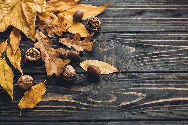 Merhaba sonbahar. Parlak renkli sonbahar yaprakları meşe palamutları ve fındık ile rustik ahşap zemin üzerinde. Sonbahar resim. Hasat zamanı. Mutlu Şükran günleri. Tebrik kartı mock-up.