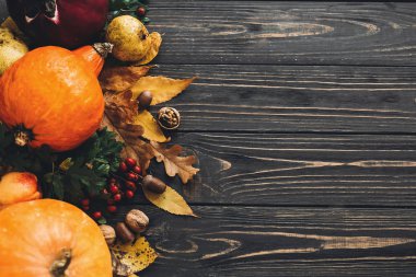 Mutlu Şükran günü kavramı. Güzel bileşimi kabak, renkli yaprakları, meşe palamutları, fındık, sonbahar sebzeleri meyveleri ahşap rustik masaya. Metin için yer. Rahat sonbahar sezon