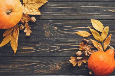 Mutlu Şükran günü kavramı, düz yatıyordu. Güzel kabak parlak sonbahar yaprakları, meşe palamutları, ahşap rustik masa fındık ile. Metin için yer. Sonbahar sezonu tebrik kartı. Atmosferik görüntü