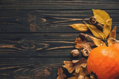 Mutlu Şükran günü kavramı, düz yatıyordu. Güzel kabak parlak sonbahar yaprakları, meşe palamutları, ahşap rustik masa fındık ile. Metin için yer. Sonbahar sezonu tebrik kartı. Atmosferik görüntü