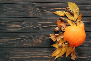 Güzel kabak parlak sonbahar yaprakları, meşe palamutları, ahşap rustik masa fındık ile. Mutlu Şükran günü kavramı, düz yatıyordu. Metin için yer. Sonbahar sezonu tebrik kartı. Atmosferik görüntü
