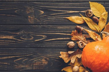 Mutlu Şükran günü kavramı, düz yatıyordu. Güzel kabak parlak sonbahar yaprakları, meşe palamutları, ahşap rustik masa fındık ile. Metin için yer. Sonbahar sezonu tebrik kartı. Atmosferik görüntü