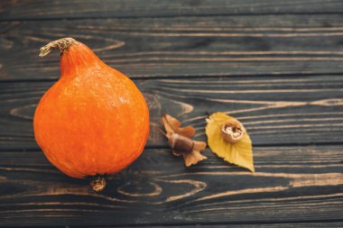 Güzel kabak ile parlak sonbahar yaprakları, meşe palamudu ve ahşap rustik masa fındık. Merhaba sonbahar. Sonbahar sezonu. Mutlu Şükran günü kavramı. metin için yer