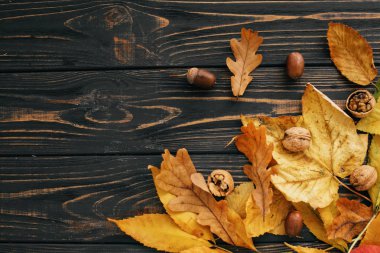 Merhaba sonbahar. Meşe palamudu ile parlak renkli sonbahar yaprakları ve fındık rustik ahşap masa, düz üzerinde yatıyordu. Sonbahar resim. Metin için yer. Mutlu Şükran günleri. Tebrik kartı mock-up