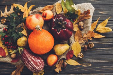 Parlak sonbahar yaprakları, meşe palamutları, ahşap rustik masa fındık güzel kabak, sebze. Metin için yer. Sonbahar sezonu tebrik kartı. Atmosferik düz yatıyordu. Mutlu Şükran günü kavramı.