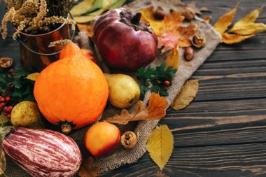 Mutlu Şükran günü kavramı. Güzel bileşimi kabak, renkli yaprakları, meşe palamutları, fındık, sonbahar sebzeleri meyveleri ahşap rustik masaya. Metin için yer. Rahat sonbahar sezon