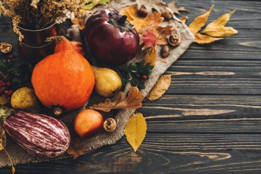 Mutlu Şükran günü kavramı. Güzel bileşimi kabak, renkli yaprakları, meşe palamutları, fındık, sonbahar sebzeleri meyveleri ahşap rustik masaya. Sonbahar mevsim tebrik kartı
