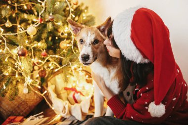 Kış Tatili aile sıcak atmosferik anlar. santa şapka şenlikli oda ışıkları ile altın güzel Noel ağacı arka plan üzerinde sevimli köpek ile sarılma içinde mutlu kız.