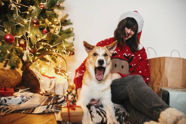 mutlu kız Noel Baba şapkası ile altın güzel Noel ağacı ışıkları ve hediyeler ve festival odasında hediyeler ile arka plan üzerinde oturan hediye ile şirin köpek. Aile sıcak anlar