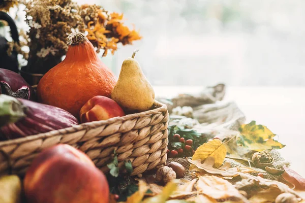 Waktunya Panen Happy Thanksgiving Labu Dan Sayuran Dalam Keranjang Dan — Stok Foto