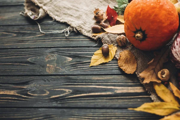 Feliz Concepto Acción Gracias Hermosa Composición Calabaza Verduras Otoño Con — Foto de Stock