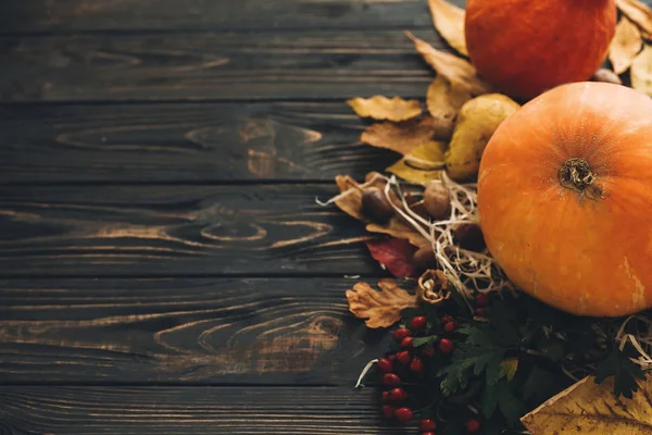 Feliz Conceito Acção Graças Bela Composição Abóbora Legumes Outono Com — Fotografia de Stock