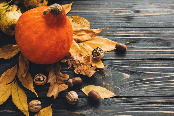 Beautiful Pumpkin with bright autumn leaves, acorns, nuts, berries on wooden rustic table. Space for text. Cozy Fall season. Happy Thanksgiving concept. Atmospheric image