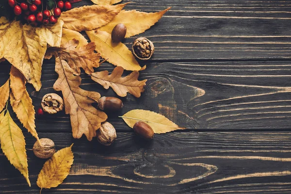 다채로운가 도토리와 나뭇잎과 소박한 테이블 이미지입니다 시간입니다 즐거운 감사절입니다 인사말 — 스톡 사진