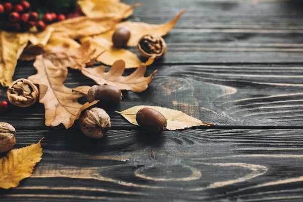 Hello Ősszel Fényes Színes Őszi Levelek Makk Dió Rusztikus Fából — Stock Fotó