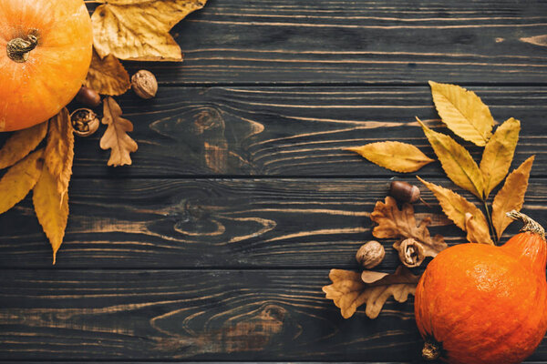 Happy Thanksgiving concept. Beautiful composition of Pumpkin, autumn vegetables with colorful leaves,acorns,nuts, berries on wooden rustic table, flat lay.  Space for text. Fall season
