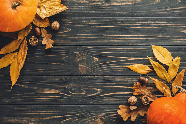 Happy Thanksgiving concept, flat lay. Beautiful Pumpkin with bright autumn leaves, acorns, nuts on wooden rustic table. Space for text. Fall season greeting card. Atmospheric image