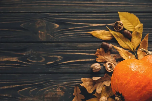 Szczęśliwy Dziękczynienie Koncepcja Płaskie Leżał Piękne Dyni Jasnym Liści Jesienią — Zdjęcie stockowe