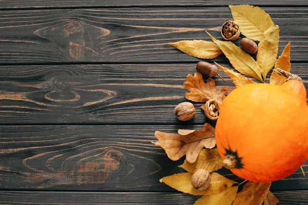 Piękne Dyni Jasnym Liści Jesienią Żołędzie Orzechy Drewnianym Stole Rustykalne — Zdjęcie stockowe