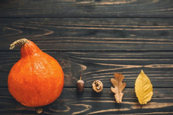 Hello Autumn Beautiful Pumpkin Bright Autumn Leaves Acorns Nuts Wooden — Stock Photo, Image