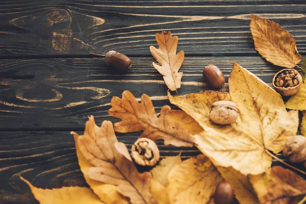 Hello Autumn Bright Colorful Autumn Leaves Acorns Nuts Rustic Wooden — Stock Photo, Image