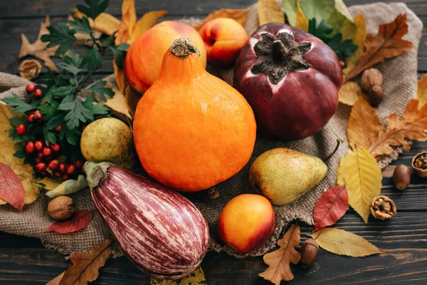 Hermosa Calabaza Verduras Hojas Brillantes Otoño Bellotas Nueces Mesa Rústica — Foto de Stock