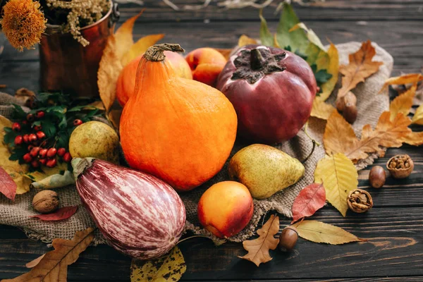 Hermosa Calabaza Luz Verduras Hojas Brillantes Otoño Bellotas Nueces Mesa — Foto de Stock