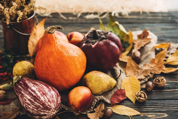 Happy Thanksgiving Koncepcji Piękna Kompozycja Dyni Jesienne Warzywa Kolorowe Liście — Zdjęcie stockowe