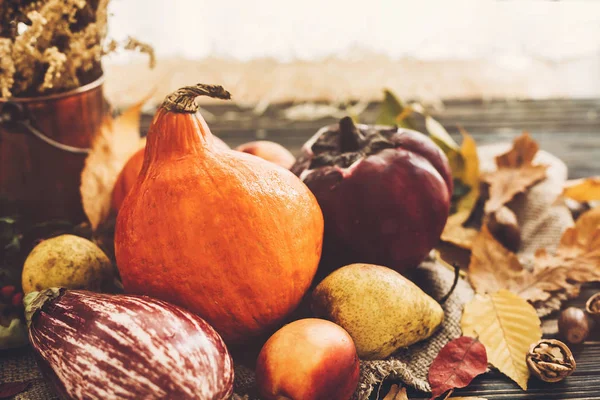 Hermosa Calabaza Luz Verduras Hojas Brillantes Otoño Bellotas Nueces Mesa — Foto de Stock