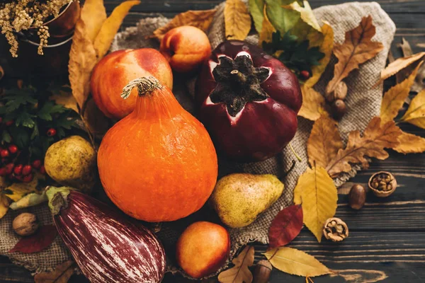 Hermosa Calabaza Verduras Hojas Brillantes Otoño Bellotas Nueces Mesa Rústica — Foto de Stock