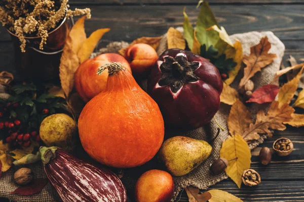Красивая Композиция Тыквы Осенние Овощи Красочными Листьями Желуди Орехи Ягоды — стоковое фото