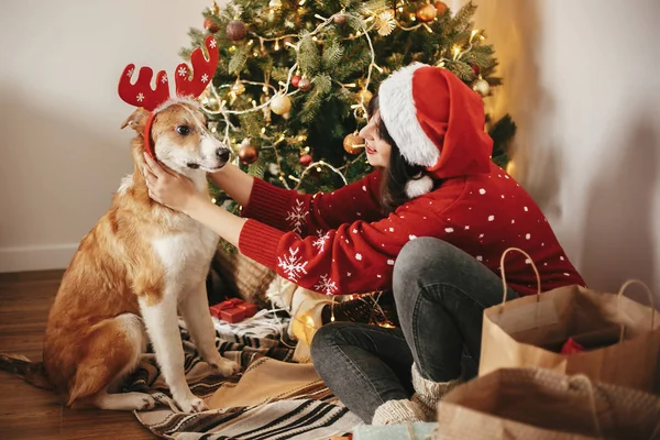 女孩穿上可爱的狗驯鹿鹿角的背景下金色美丽的圣诞树与灯光在节日的房间 可爱的眼睛在发光照明狗 家庭冬季假期 — 图库照片