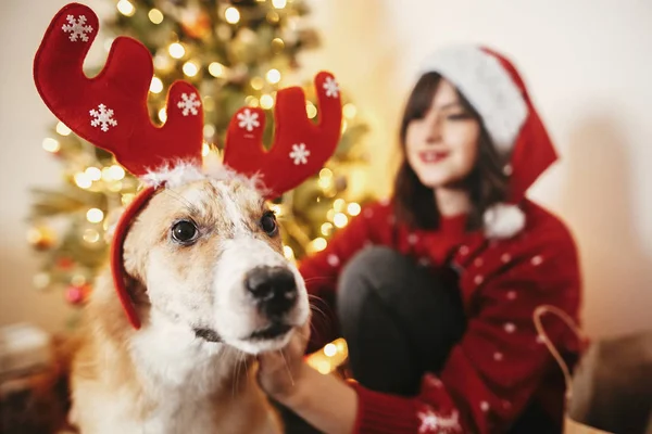 Gelukkig Meisje Met Schattige Hond Rendieren Geweien Achtergrond Van Gouden — Stockfoto