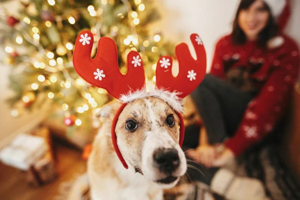 Gelukkig Meisje Met Schattige Hond Rendieren Geweien Achtergrond Van Gouden — Stockfoto