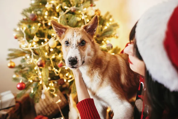 Glückliches Mädchen Mit Weihnachtsmütze Umarmt Mit Niedlichen Hund Auf Dem — Stockfoto