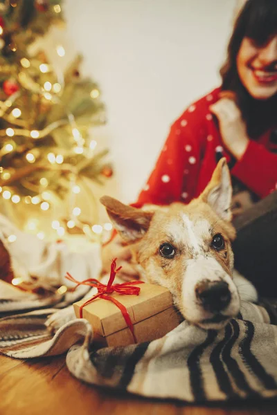 Schattige Hond Met Gave Zittend Met Gelukkig Meisje Kerstmuts Achtergrond — Stockfoto