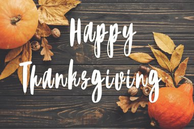 Mutlu Şükran günü metin parlak sonbahar yaprakları, meşe palamutları, ahşap rustik masa fındık ile güzel kabak üzerinde düz yatıyordu. Mevsim tebrik kartı. Atmosferik görüntü