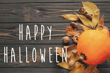 Güzel kabak parlak sonbahar yaprakları, meşe palamutları, ahşap rustik masa fındık ile mutlu Halloween metin, düz yatıyordu. Atmosferik görüntü. Mevsim tebrik kartı.