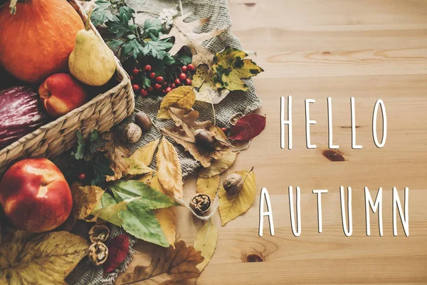 Hallo Herfst Tekst Hallo Val Teken Pompoen Fruit Mand Kleurrijke — Stockfoto