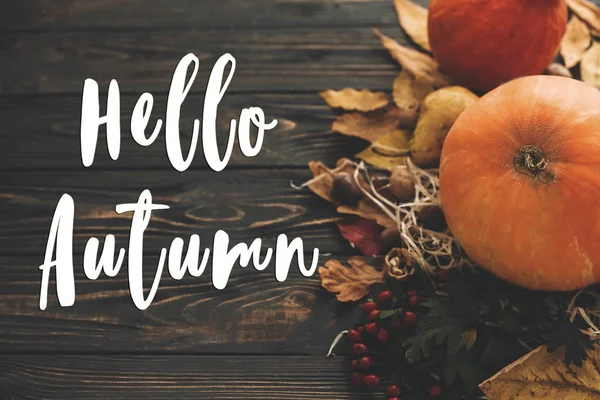 こんにちは秋のテキスト こんにちは秋のサインオン カボチャ 秋野菜のカラフルな葉 どんぐり 木の実 素朴な木製のテーブルの上の果実 秋の季節のグリーティング カード 大気のイメージ — ストック写真