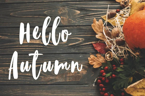 Hello Autumn Text Hello Fall Sign Pumpkin Autumn Vegetables Colorful — Stock Photo, Image