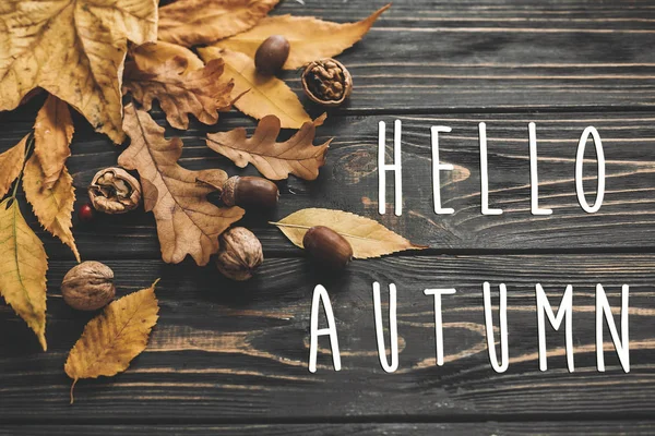 Hallo Herbsttext Hallo Herbst Zeichen Auf Leuchtend Bunten Herbstblättern Mit — Stockfoto