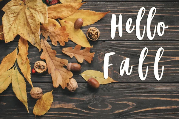 Hello Fall Text Hello Autumn Sign Bright Colorful Autumn Leaves — Stock Photo, Image